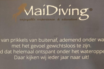 header blog post met tekst die ook in het artikel voorkomt